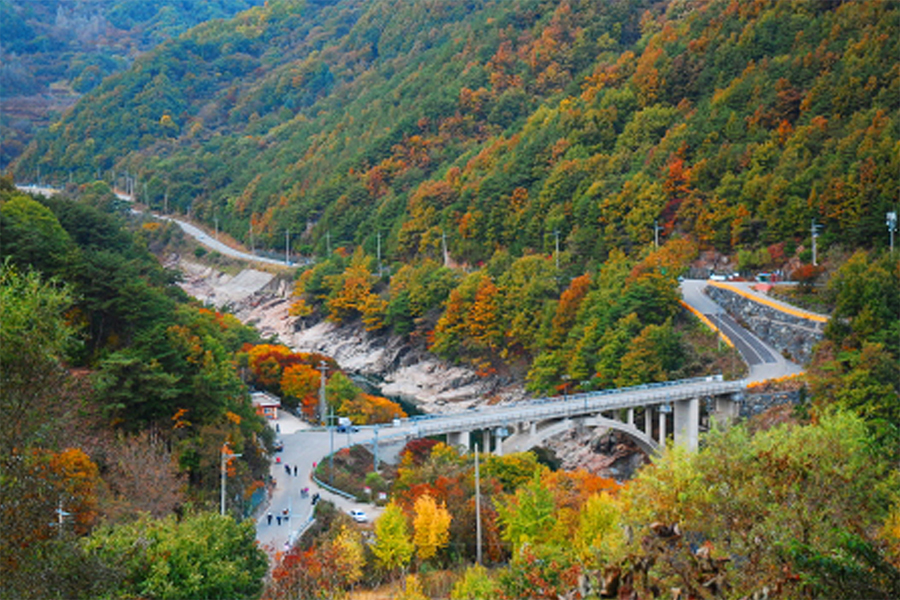 03324528ab9ff0ebd6219dc75e3140ea_1753256407_638.jpg